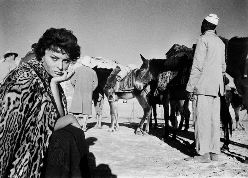 Sophia Loren in uno scatto di Phil Stern